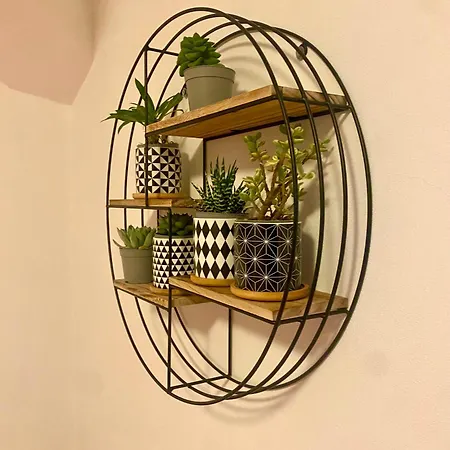 Lägenhet Casina Del Giuggiolo *